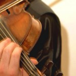 Violina