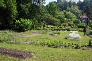 800px-Ljubljana_Botanic_Garden_-_plant_system